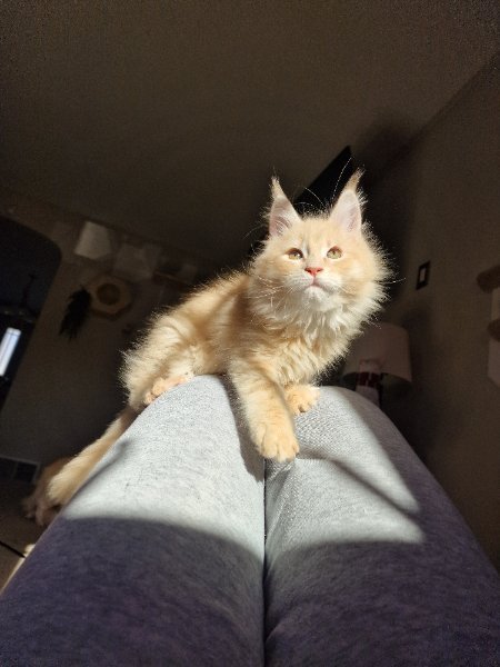 20260116_100610.jpg 20260116_100610.jpg