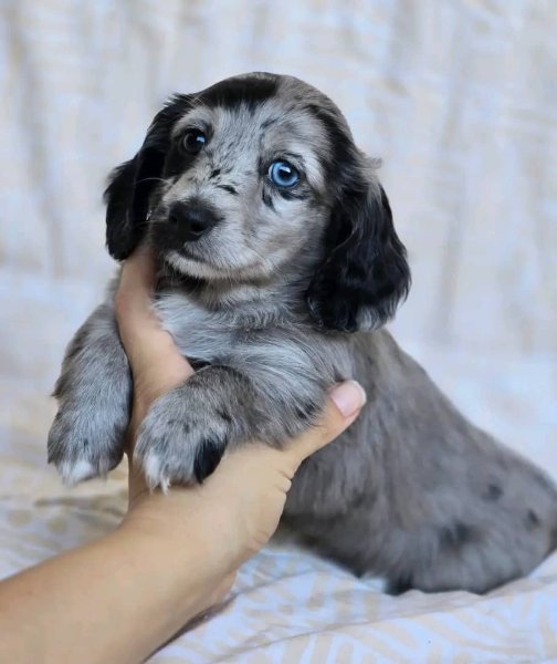 WhatsApp Image 2026-01-23 at 17.57.11.jpeg