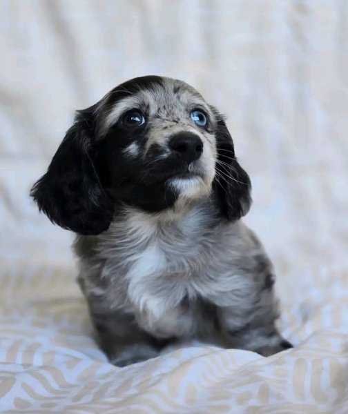 WhatsApp Image 2026-01-23 at 17.57.12 copy 2.jpeg