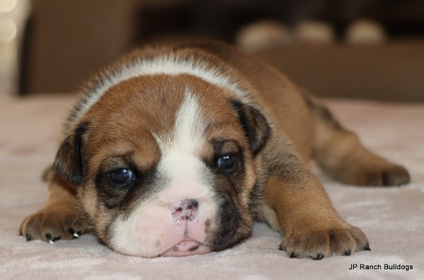 IMG_5152.JPG IMG_5152.JPG