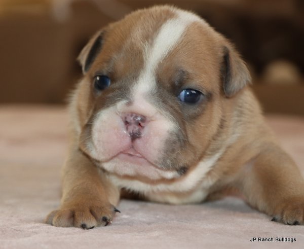 IMG_5209.JPG IMG_5209.JPG