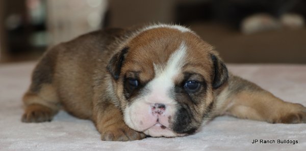 IMG_5127.JPG IMG_5127.JPG