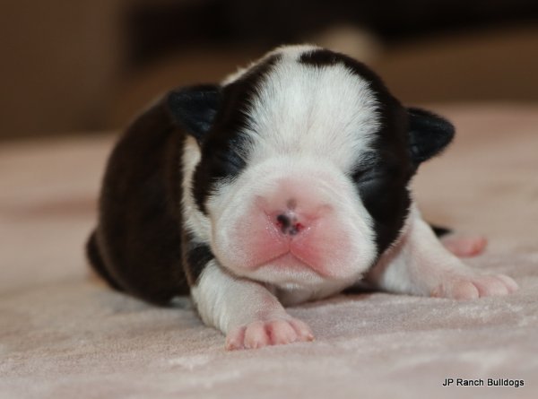 IMG_4978.JPG IMG_4978.JPG