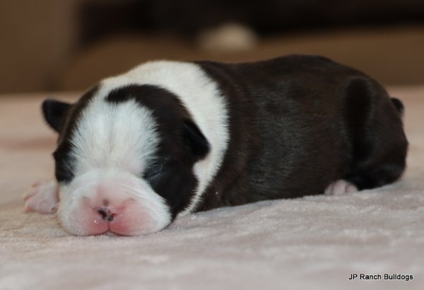 IMG_4989.JPG IMG_4989.JPG