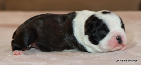 IMG_5007.JPG IMG_5007.JPG