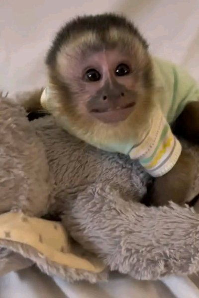 1765047765175.jpg 1765047765175.jpg