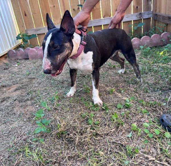 WhatsApp Image 2026-02-24 at 9.22.22 PM.jpeg