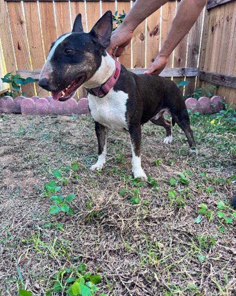 WhatsApp Image 2026-02-24 at 9.22.22 PM (2).jpeg