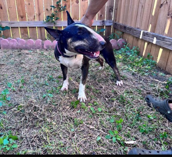 WhatsApp Image 2026-02-24 at 9.22.22 PM (1).jpeg