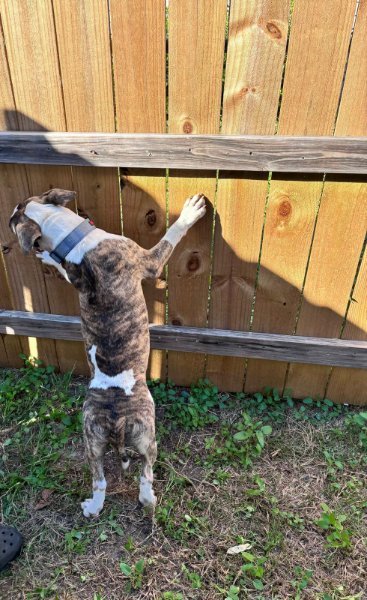 WhatsApp Image 2026-02-24 at 9.25.48 PM.jpeg