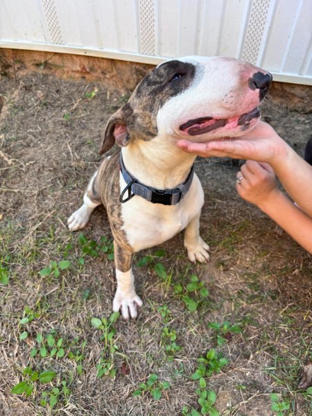 WhatsApp Image 2026-02-24 at 9.25.48 PM (2).jpeg