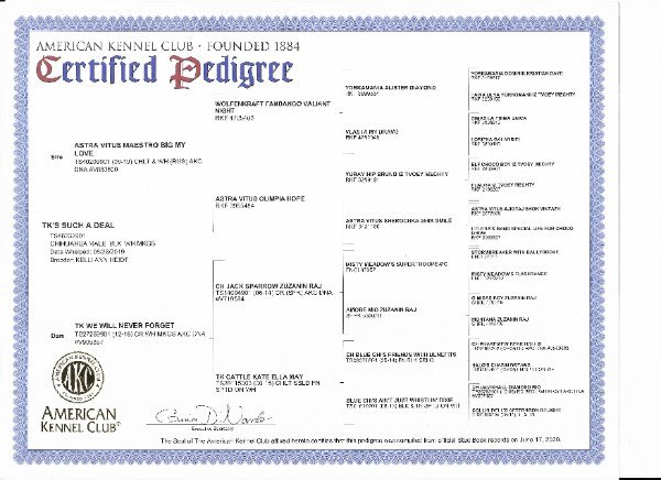 Dealer .jpg Dealer .jpg