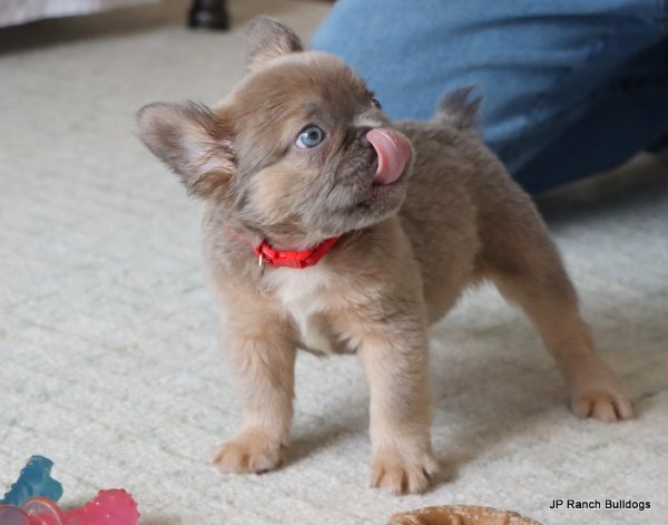 IMG_6694.JPG IMG_6694.JPG