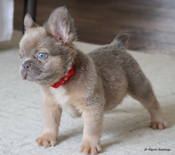 IMG_6706.JPG IMG_6706.JPG