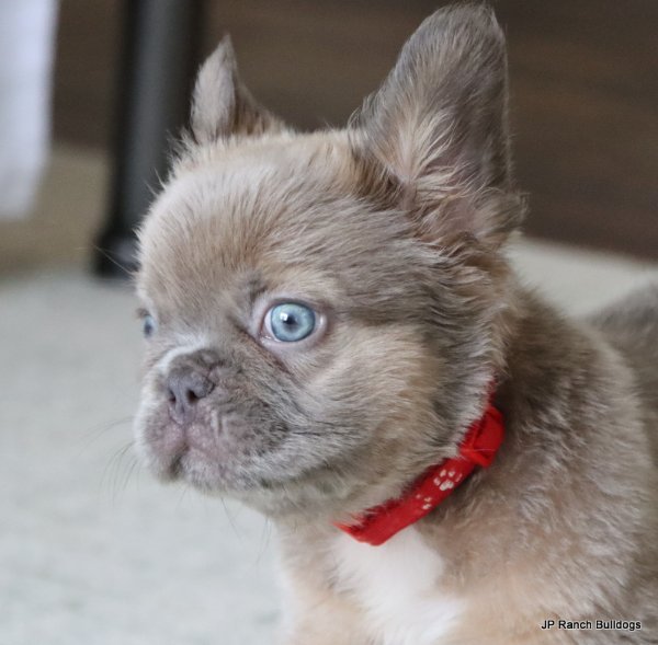 IMG_6708.JPG IMG_6708.JPG