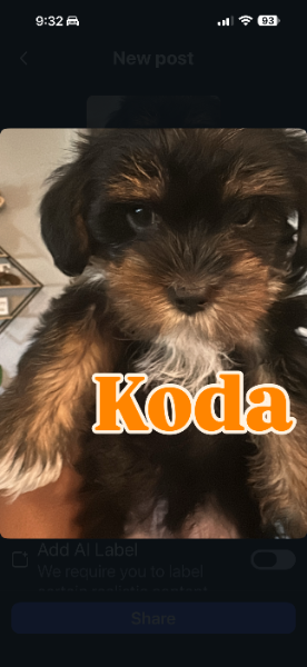 koda.png koda.png