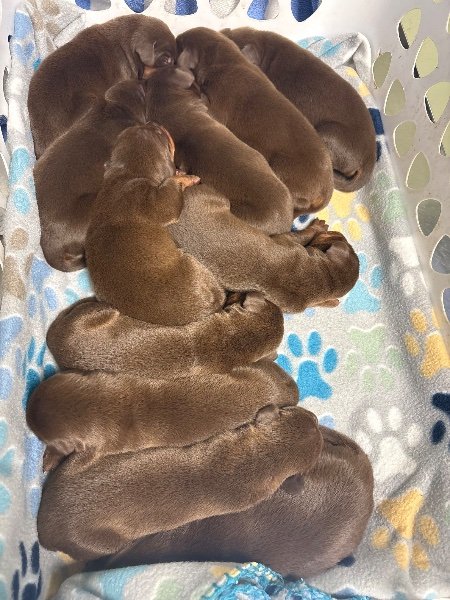 79622215308__3964C0B4-78B4-46D5-B4D9-675987C43AAB.jpeg 79622215308__3964C0B4-78B4-46D5-B4D9-675987C43AAB.jpeg