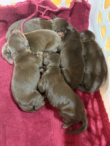 IMG_9680.jpeg IMG_9680.jpeg