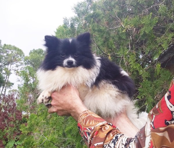 20260409_160845 (1).jpg 20260409_160845 (1).jpg