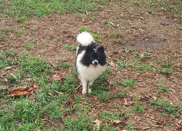 20260409_160644 (3).jpg 20260409_160644 (3).jpg