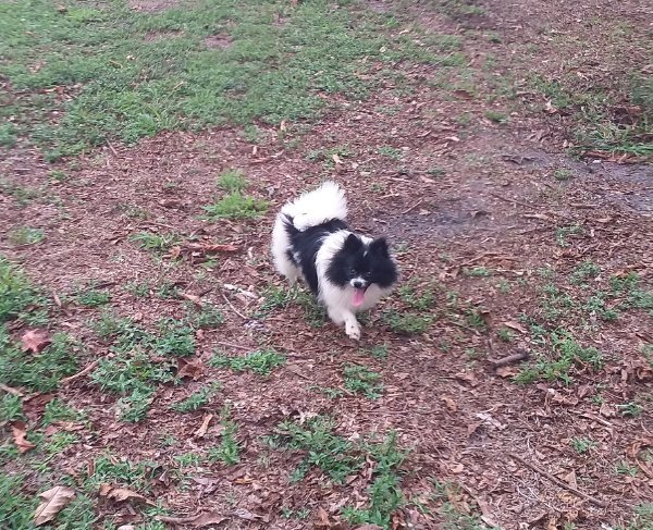 20260409_160624 (1).jpg 20260409_160624 (1).jpg