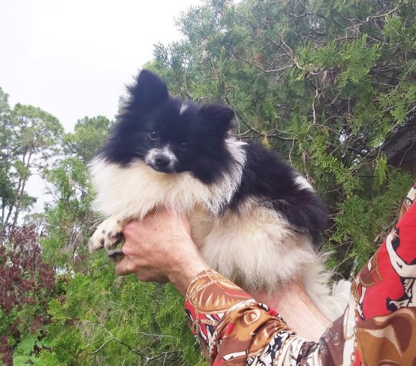 20260409_160843 (1).jpg