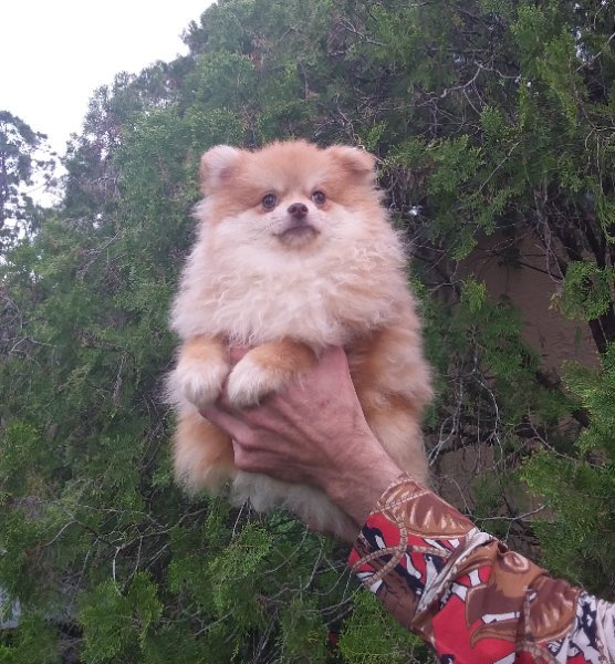 20260409_164949 (1).jpg 20260409_164949 (1).jpg