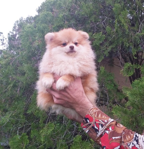 20260409_164937.jpg 20260409_164937.jpg