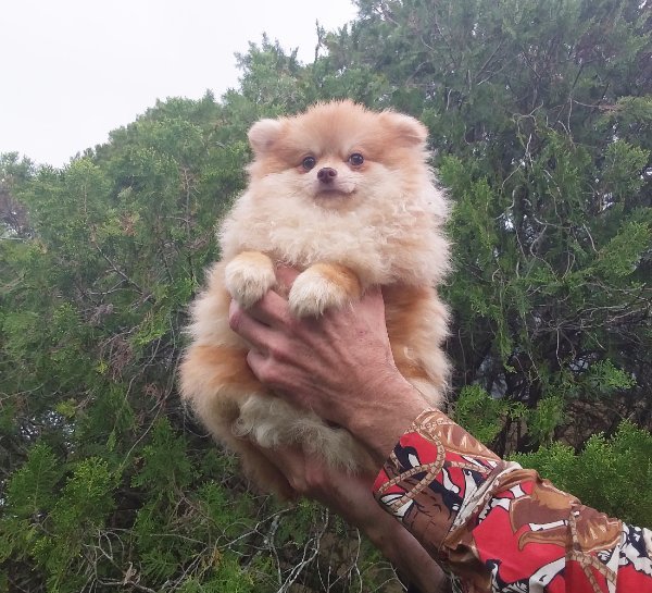 20260409_164903 (1).jpg 20260409_164903 (1).jpg