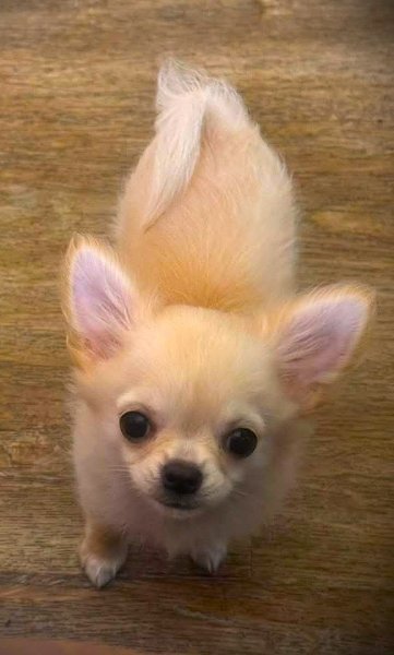 male0 - Copy.jpg male0 - Copy.jpg