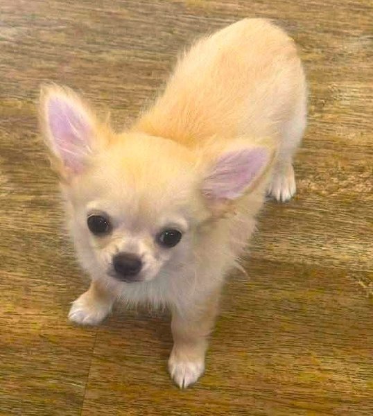 male20 - Copy.jpg male20 - Copy.jpg