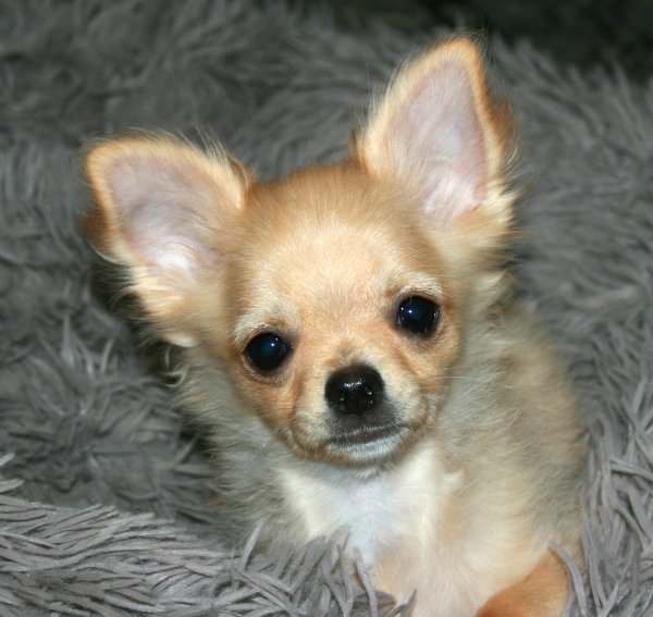 IMG_5923.JPG IMG_5923.JPG