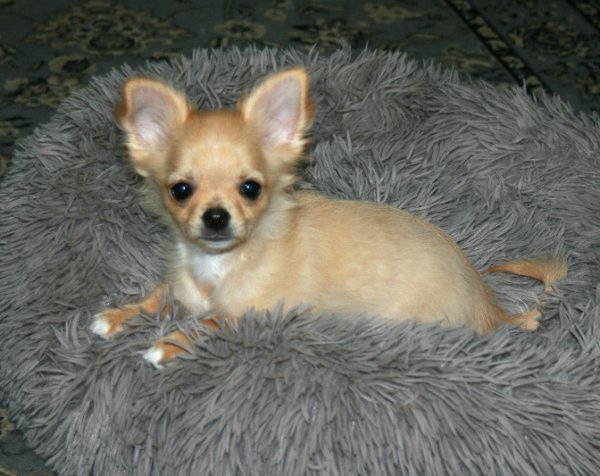 IMG_5910.JPG IMG_5910.JPG