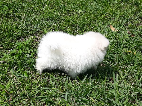 20230321_131958 (4).jpg