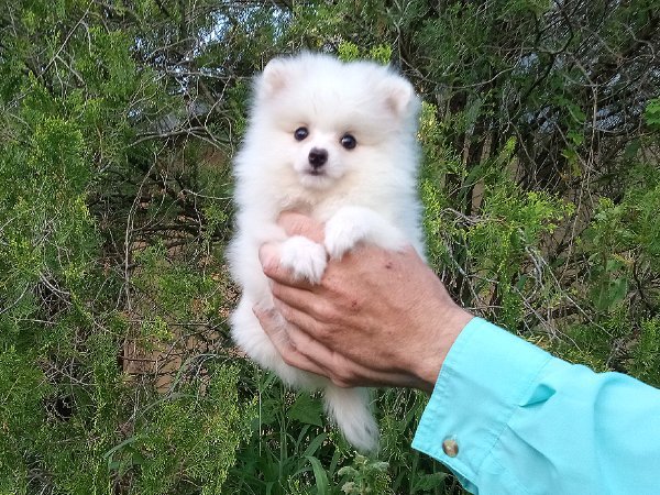 IMG_20240502_192216287 (2).jpg