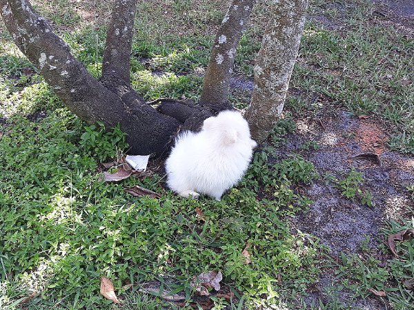 20230321_130933 (1)1.jpg