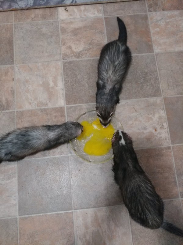20180521_200845_HDR.jpg
