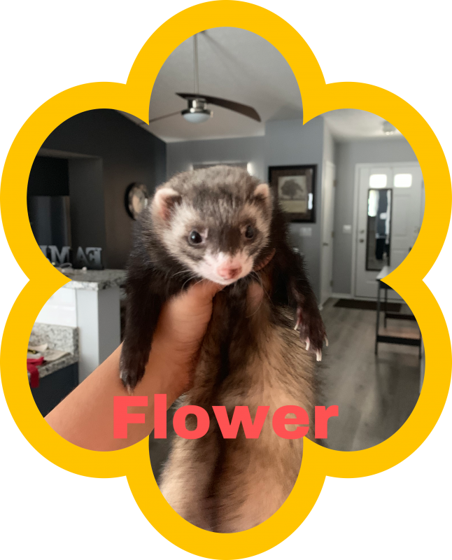 7BB7A217-9432-4817-AAA7-1F53A9DE71BB.png