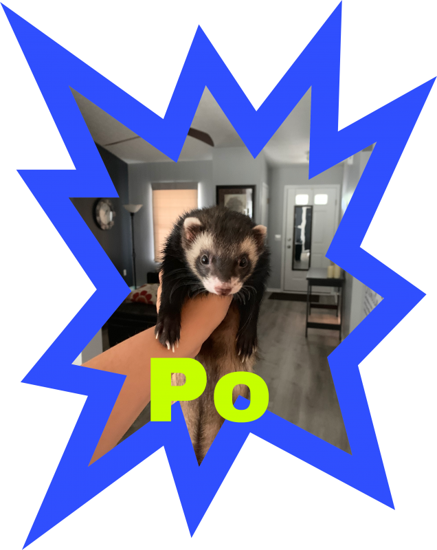 2782F034-7D2A-4904-A9A3-ECE129A8DB38.png