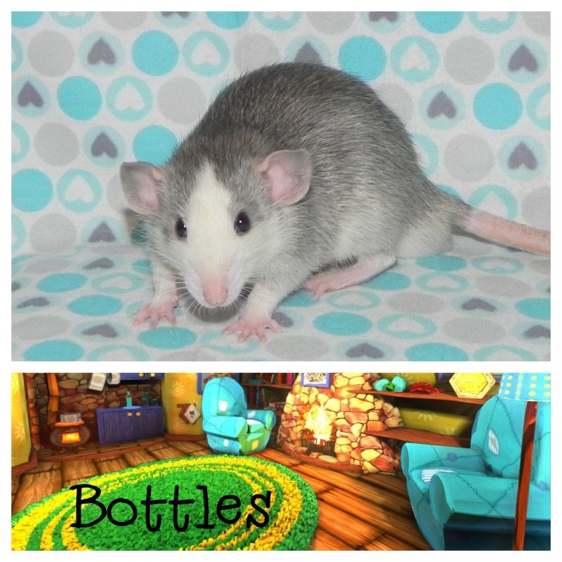 Bottles8.jpg