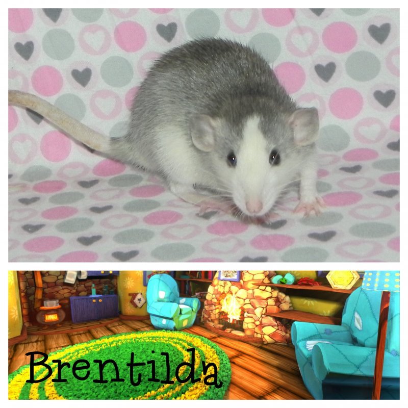 Brentilda8.jpg