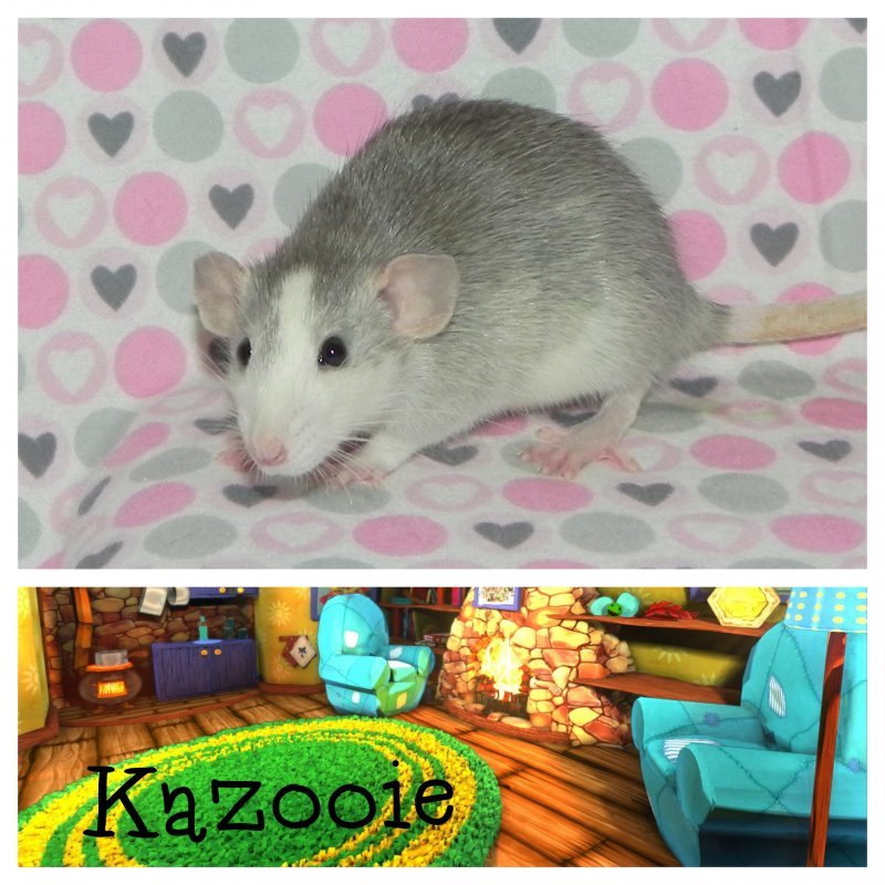 Kazooie8.jpg
