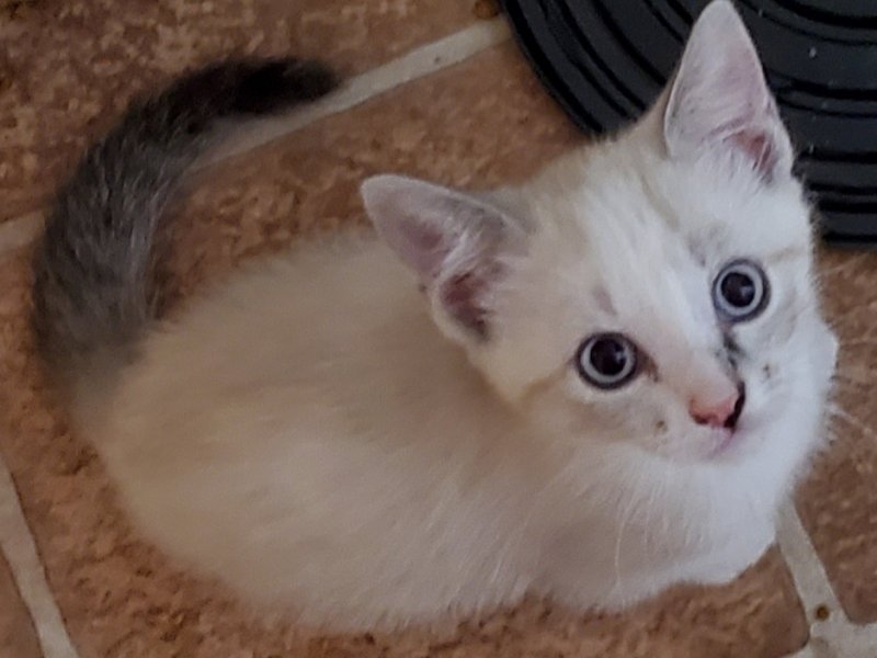 20190830_202838.jpg
