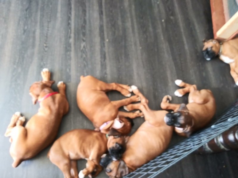 20190830_125726.jpg