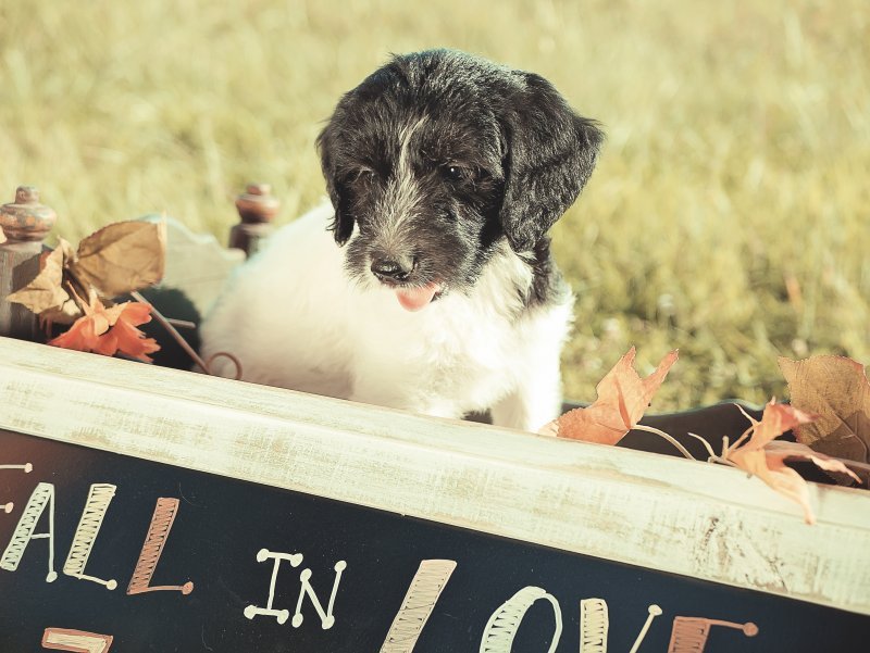 Camilla_7weeks (2).jpg