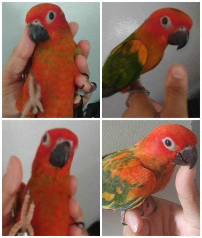 190909_160437_COLLAGE-1.jpg