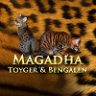 magadha