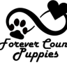 ForeverCP2019