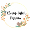 cloverpatchpuppies