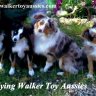 Flying Walker Toy Aussies